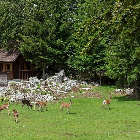Apartma Vidmar Otlica Ajdovščina المظهر الخارجي الصورة